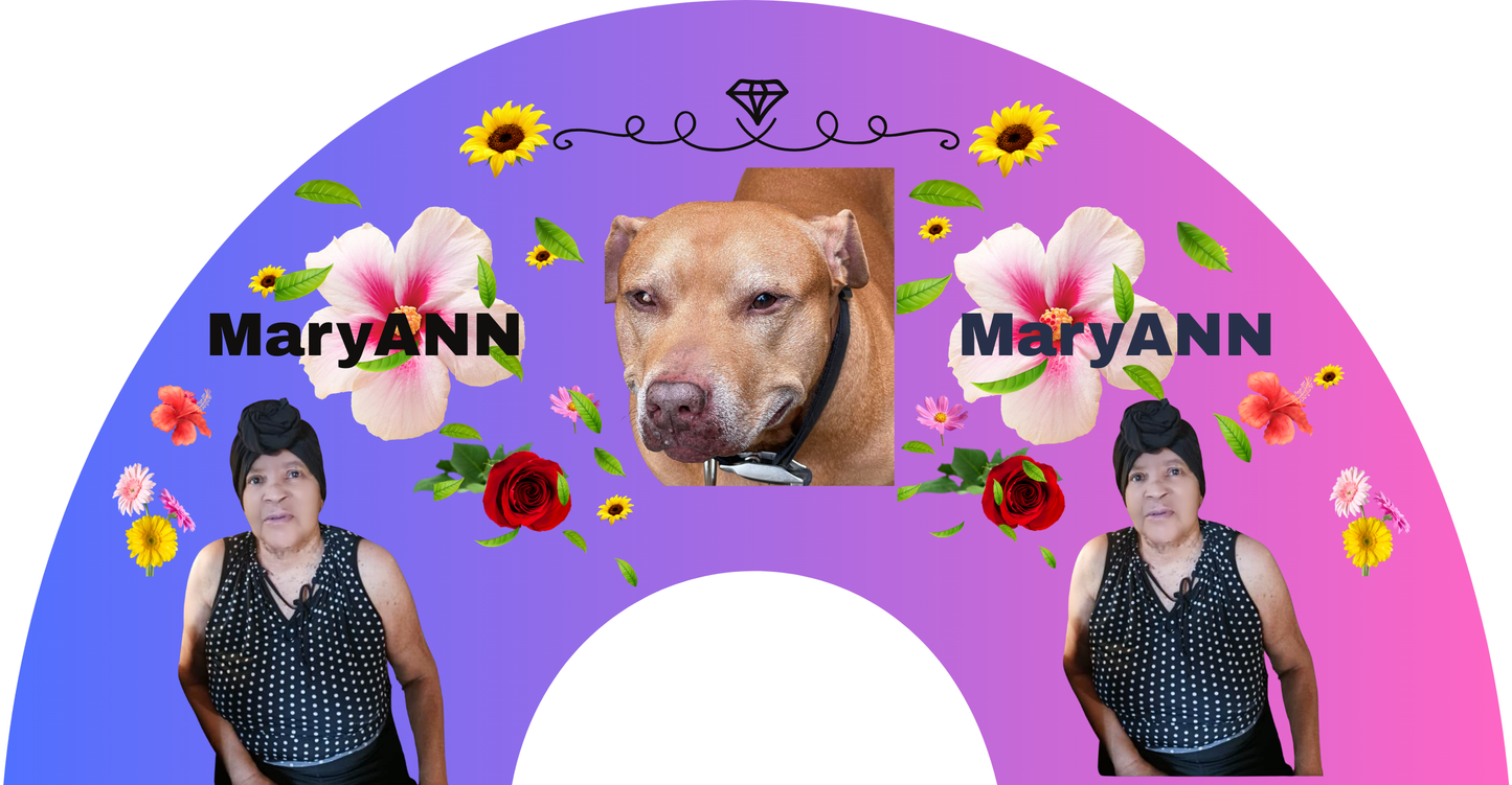 Customize Your Fan